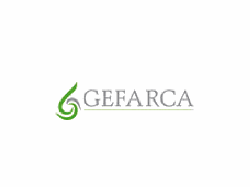 Logo Demo